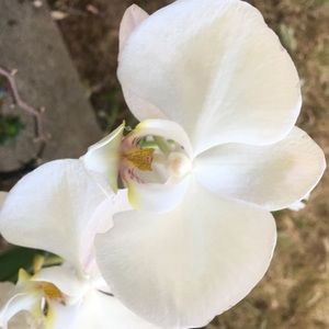 Meet your Posher, Hu